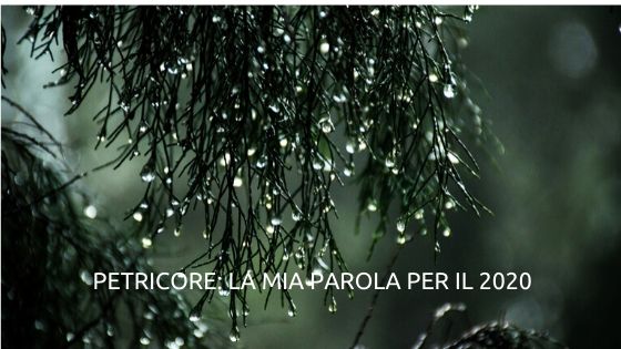 Petricore: la mia parola ispiratrice per il 2020